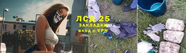 амф Верея