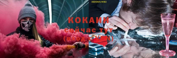 спайс Бородино
