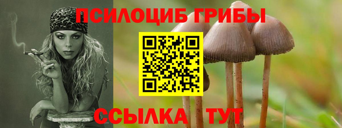 Псилоцибиновые грибы ЛСД Можайск